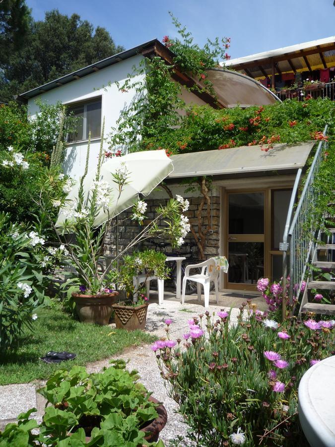Casa Furrer Aparthotel Tirrenia Luaran gambar